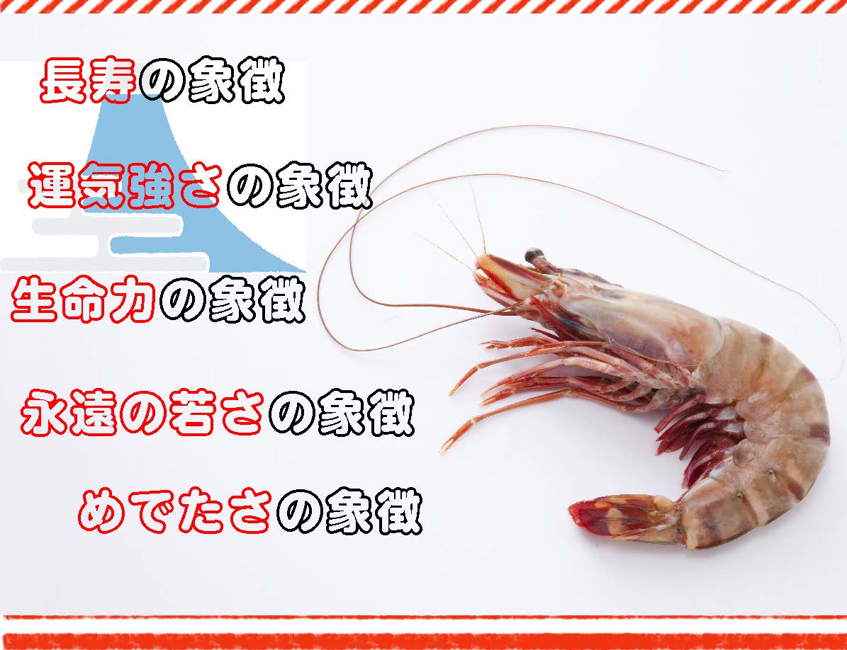 おどるえびフライ 5尾 – EBI研究所