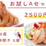 お試しAセット