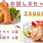 お試しBセット